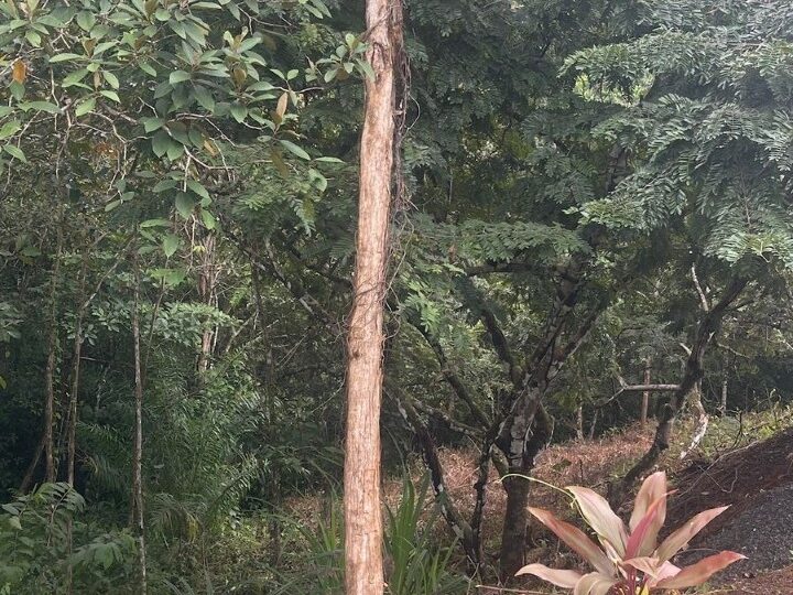 Building Lots for sale in Hermosa Beach Costa Rica