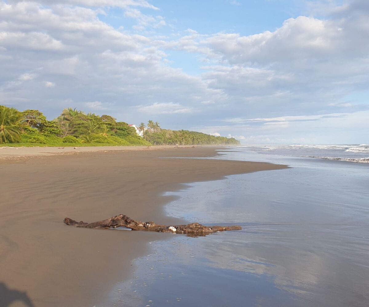 Homes for sale in EsterillosParrita Costa Rica