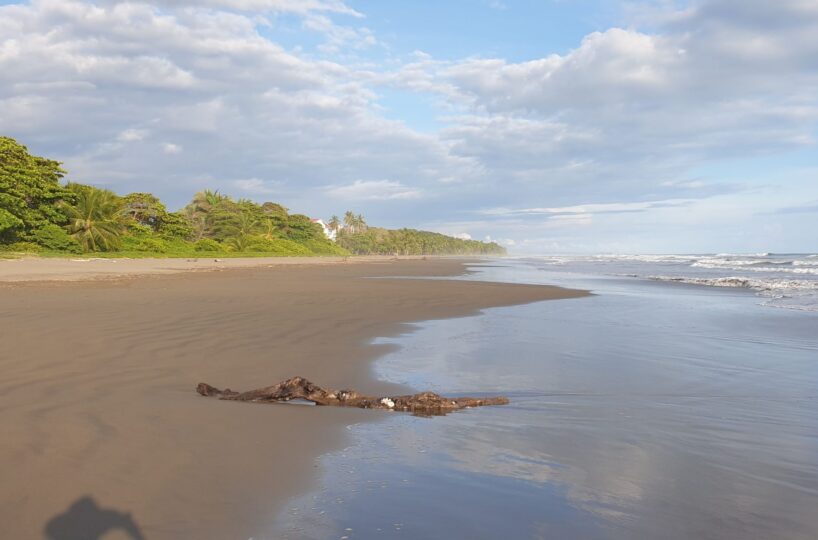 Homes for sale in EsterillosParrita Costa Rica