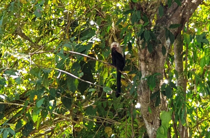 Homes for sale in EsterillosParrita Costa Rica