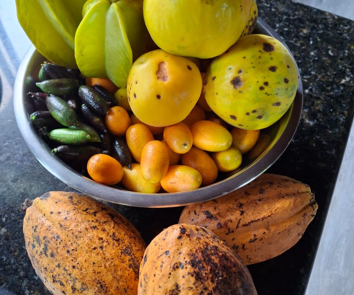 CommercialFarms and RanchesHomes for sale in Bijagual Costa Rica