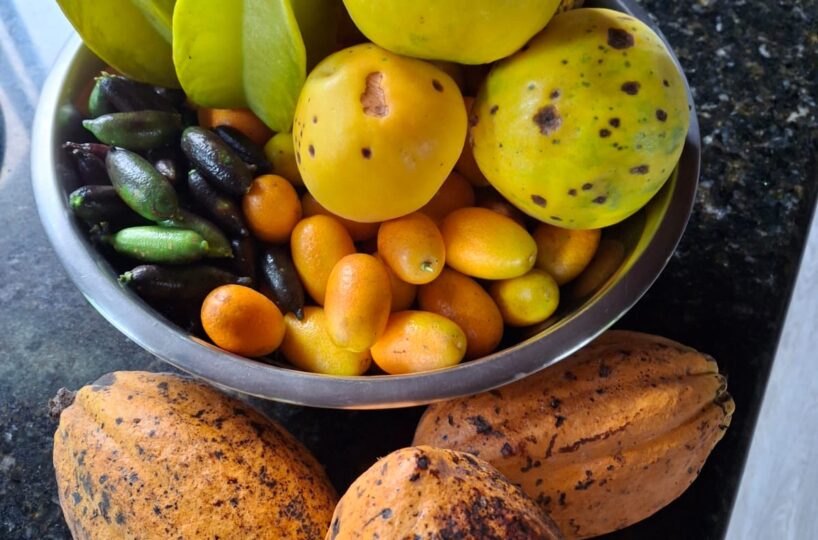 CommercialFarms and RanchesHomes for sale in Bijagual Costa Rica