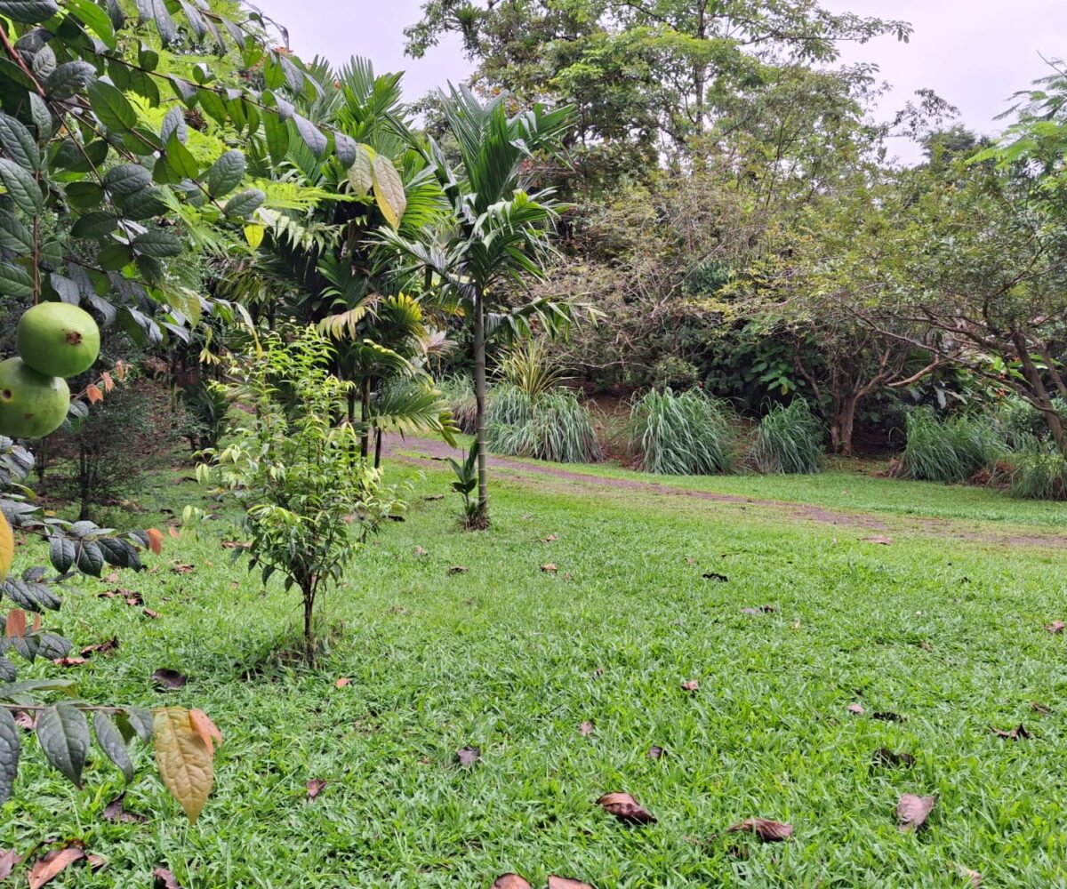 CommercialFarms and RanchesHomes for sale in Bijagual Costa Rica