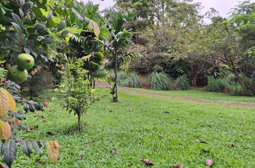 CommercialFarms and RanchesHomes for sale in Bijagual Costa Rica