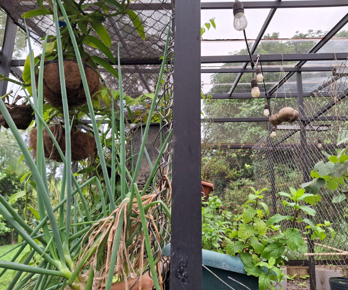 CommercialFarms and RanchesHomes for sale in Bijagual Costa Rica