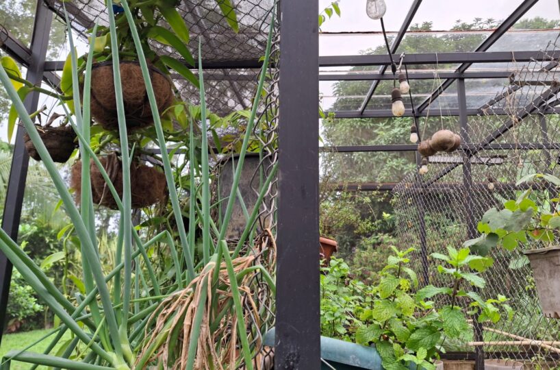 CommercialFarms and RanchesHomes for sale in Bijagual Costa Rica