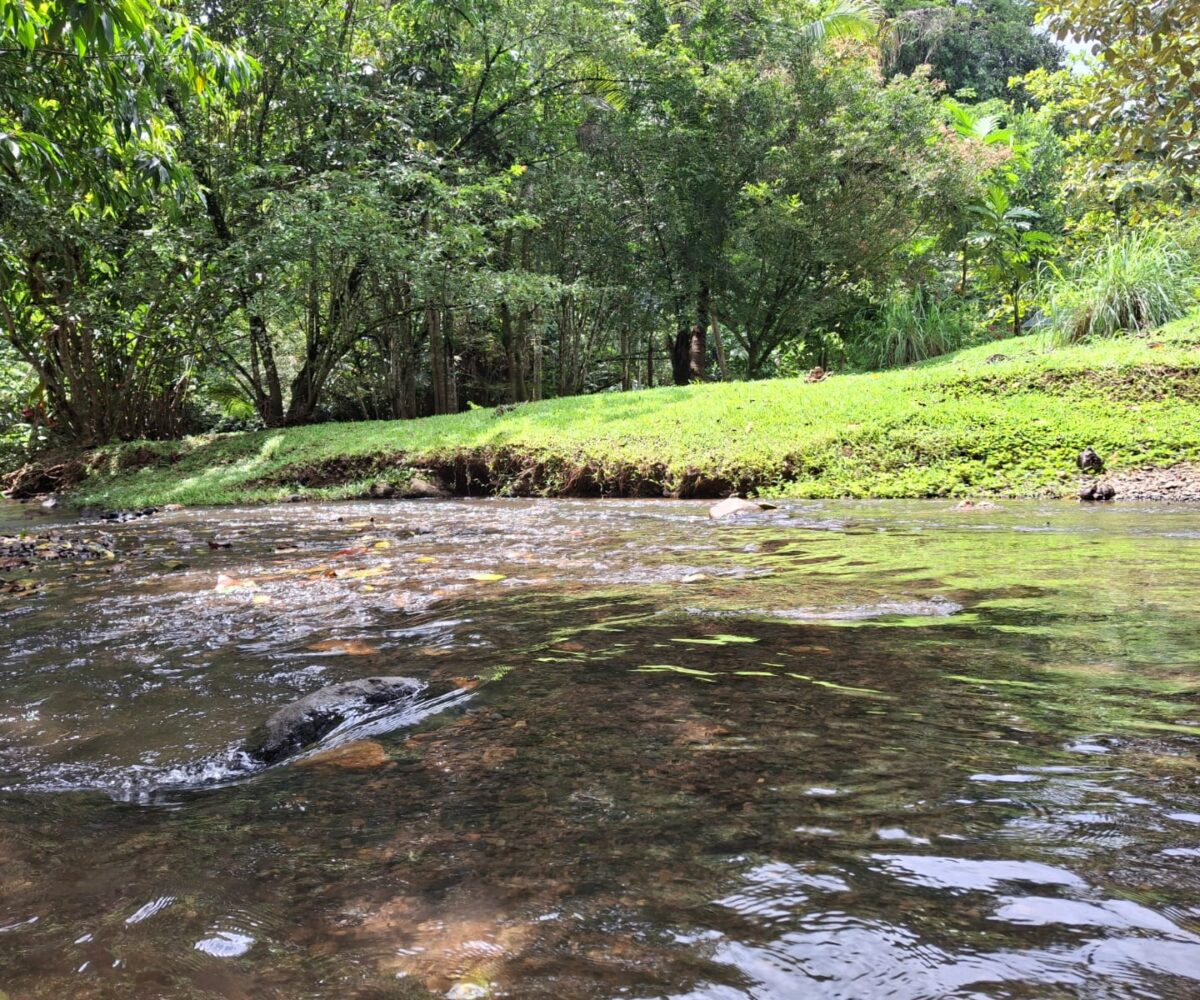 CommercialFarms and RanchesHomes for sale in Bijagual Costa Rica