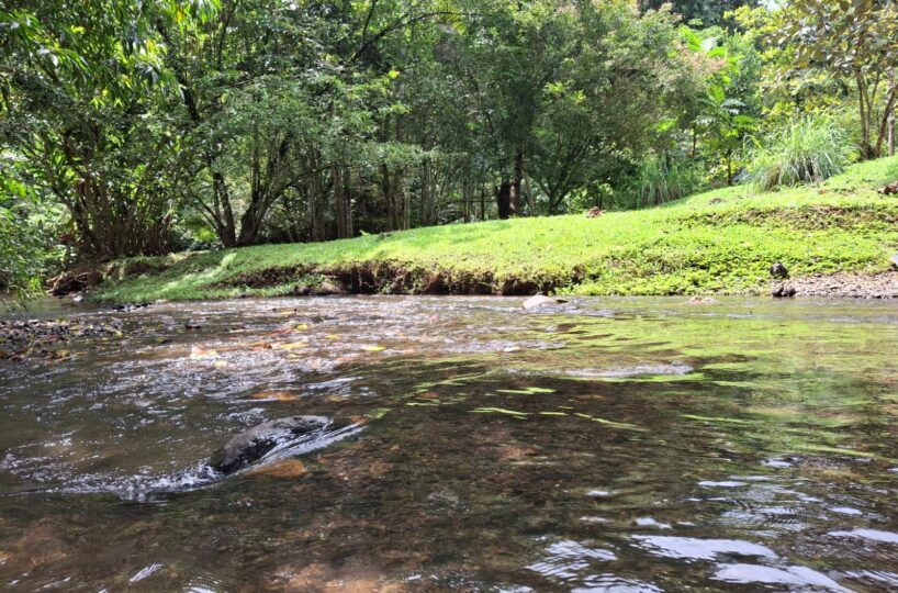 CommercialFarms and RanchesHomes for sale in Bijagual Costa Rica