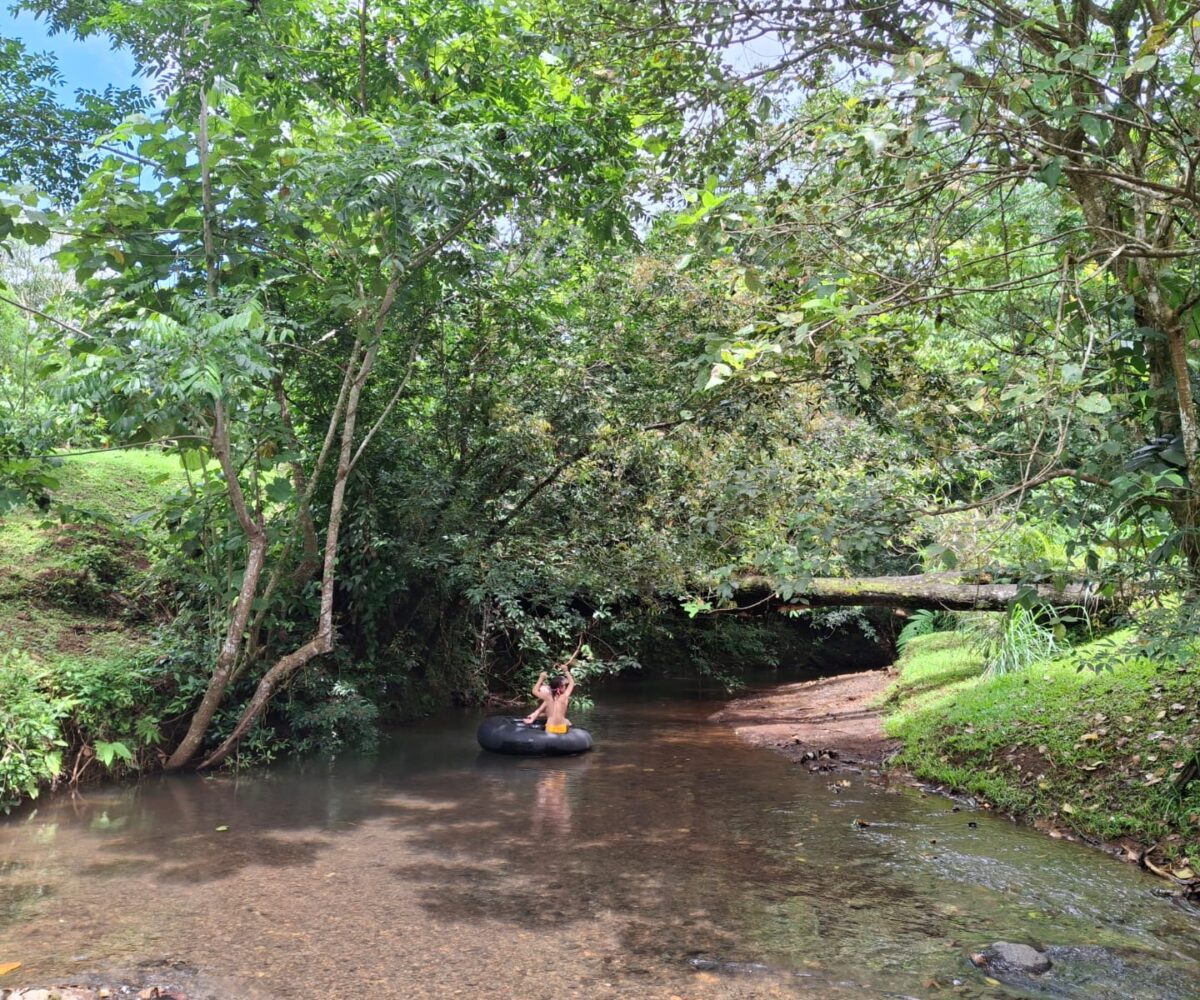 CommercialFarms and RanchesHomes for sale in Bijagual Costa Rica