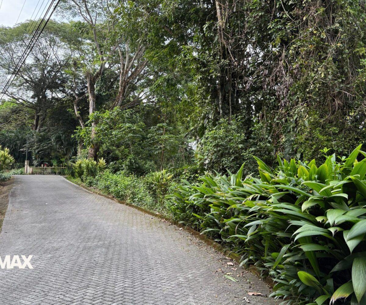 Building Lots for sale in Tarcoles Costa Rica