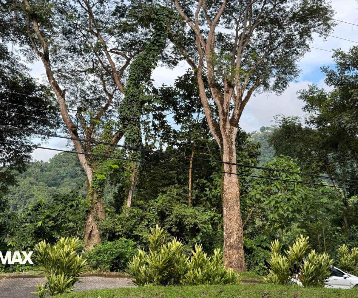 Building Lots for sale in Tarcoles Costa Rica