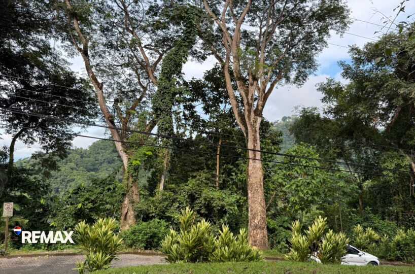 Building Lots for sale in Tarcoles Costa Rica
