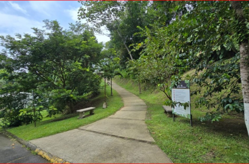 Homes for sale in Herradura Bay Costa Rica
