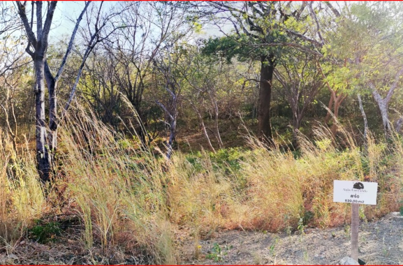 Building Lots for sale in Tamarindo Costa Rica