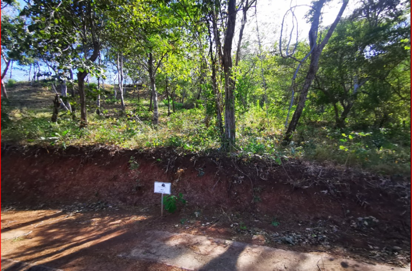 Building Lots for sale in Tamarindo Costa Rica