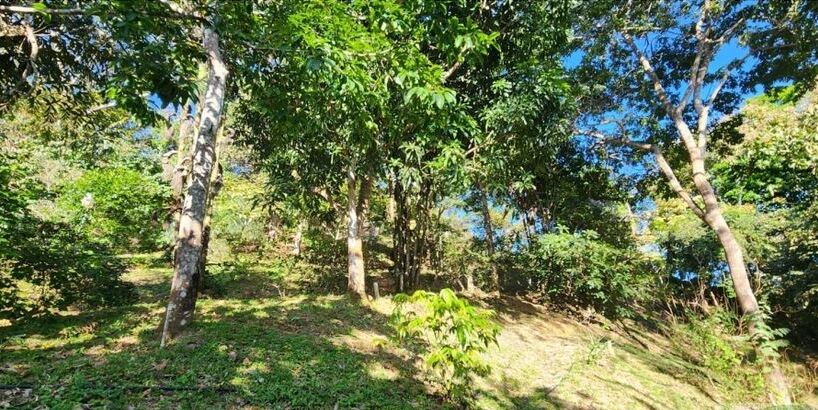 Homes for sale in Alajuela Costa Rica