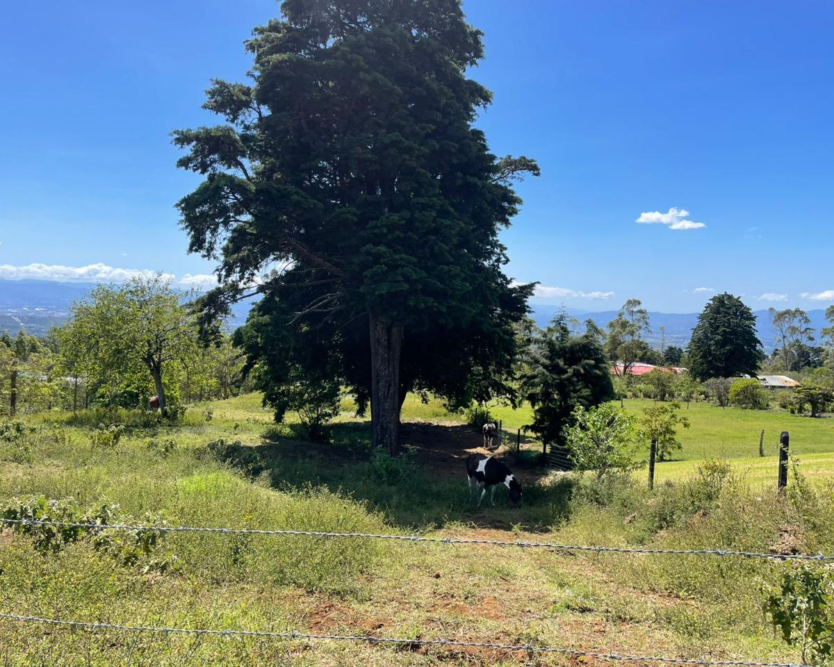 Development Land for sale in Alajuela Costa Rica