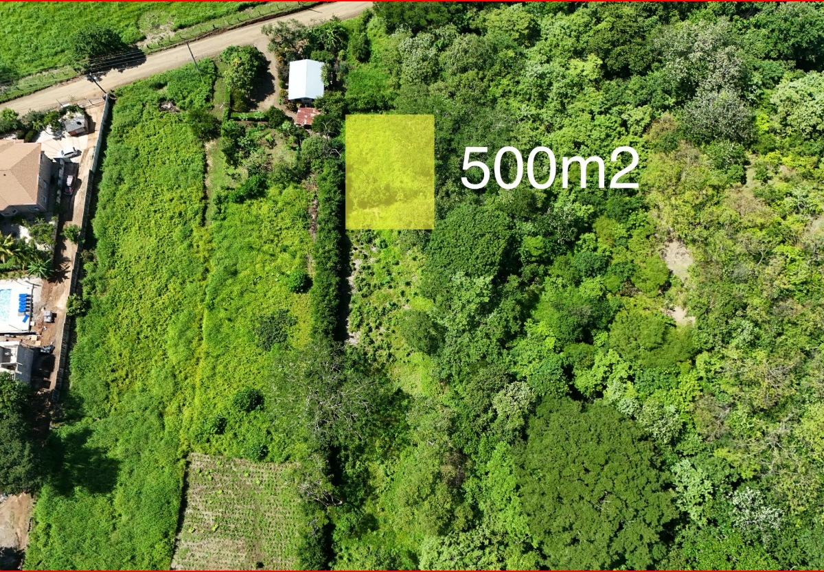 Building Lots for sale in Playa Grande Costa Rica