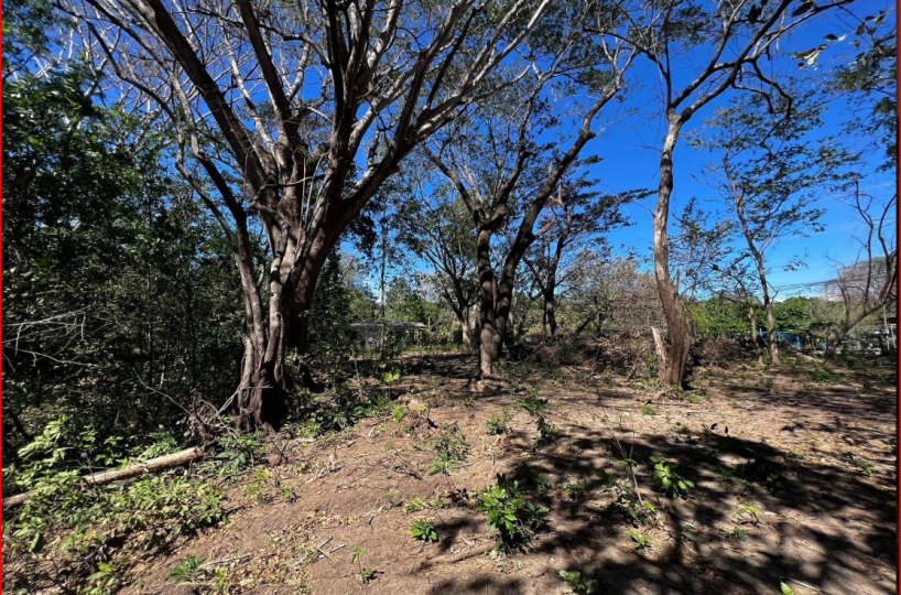 Building Lots for sale in Playa Potrero Costa Rica