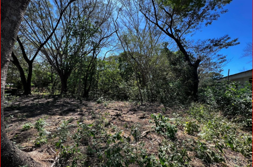 Building Lots for sale in Playa Potrero Costa Rica