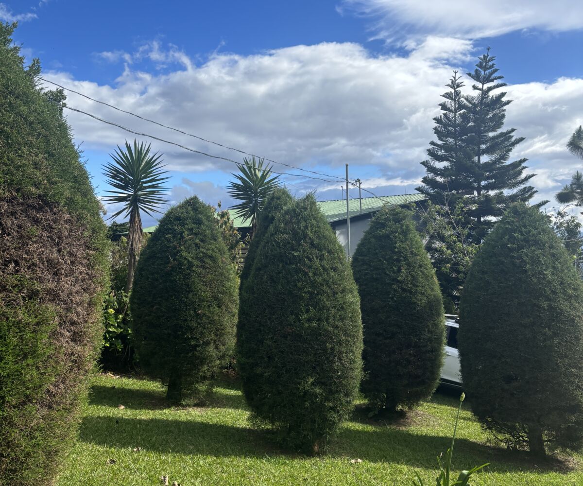 Condos for sale in Alajuela Costa Rica