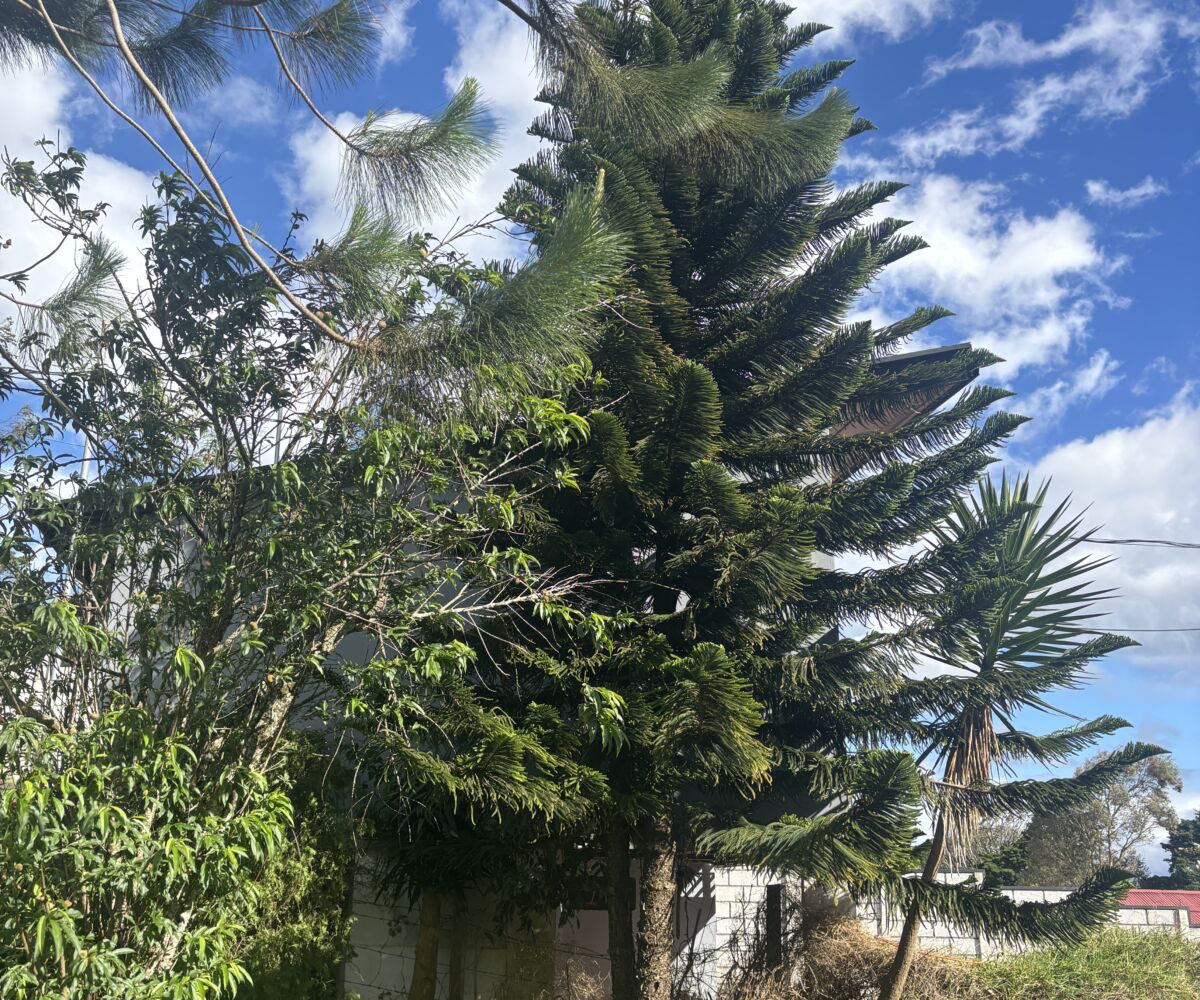 Condos for sale in Alajuela Costa Rica