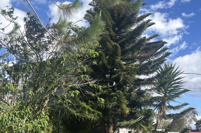 Condos for sale in Alajuela Costa Rica