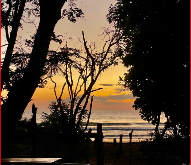 Homes for sale in Playa Grande Costa Rica