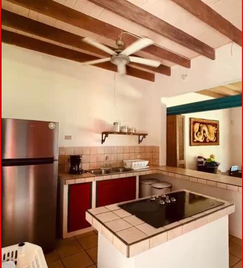 Homes for sale in Playa Grande Costa Rica