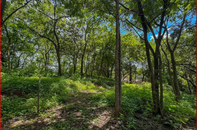 Building Lots for sale in Playa Grande Costa Rica