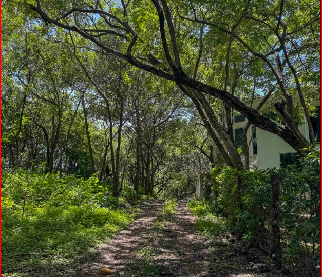 Building Lots for sale in Playa Grande Costa Rica