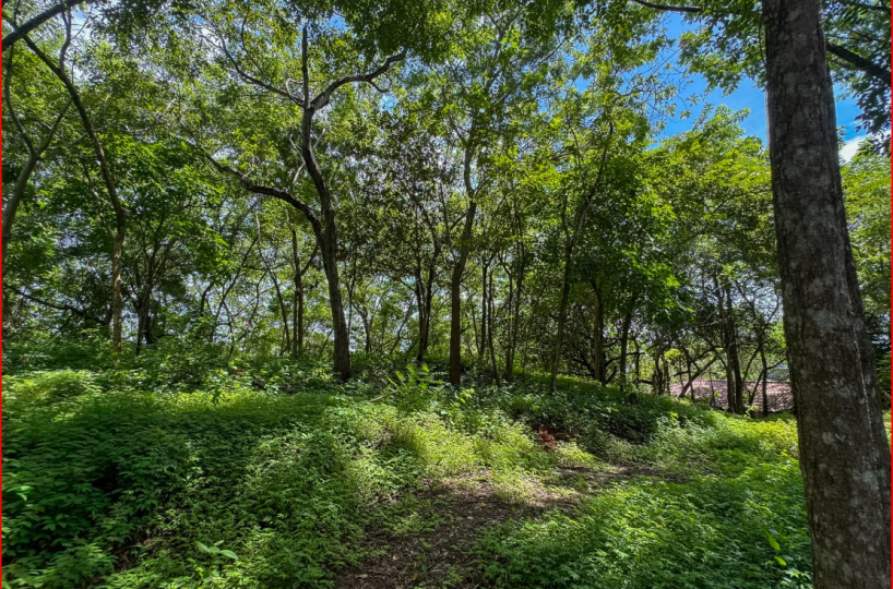 Building Lots for sale in Playa Grande Costa Rica