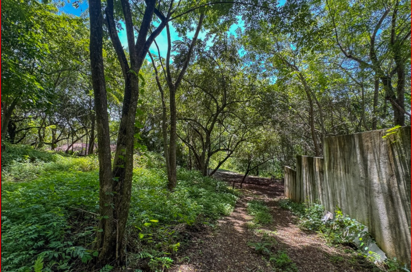 Building Lots for sale in Playa Grande Costa Rica