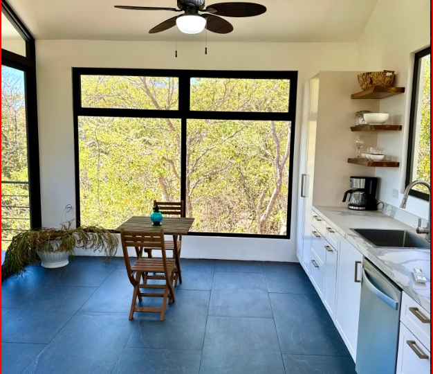 Homes for sale in Playa Grande Costa Rica