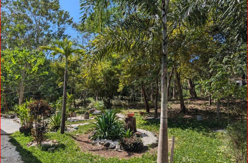 Homes for sale in Playa Grande Costa Rica