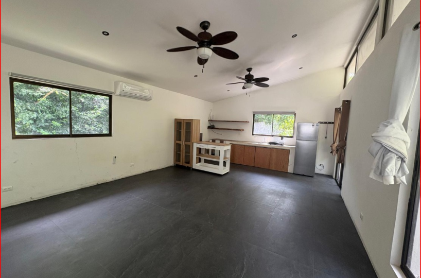 Homes for sale in Playa Grande Costa Rica