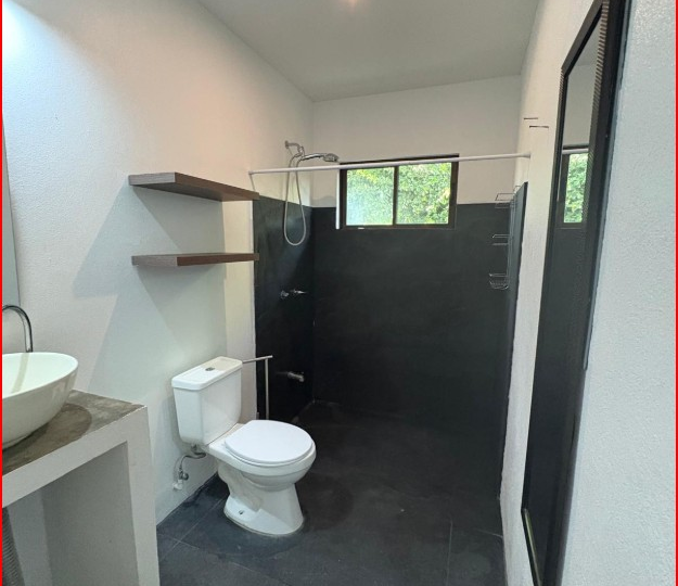 Homes for sale in Playa Grande Costa Rica