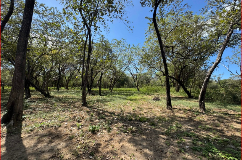 Building Lots for sale in Playa Grande Costa Rica