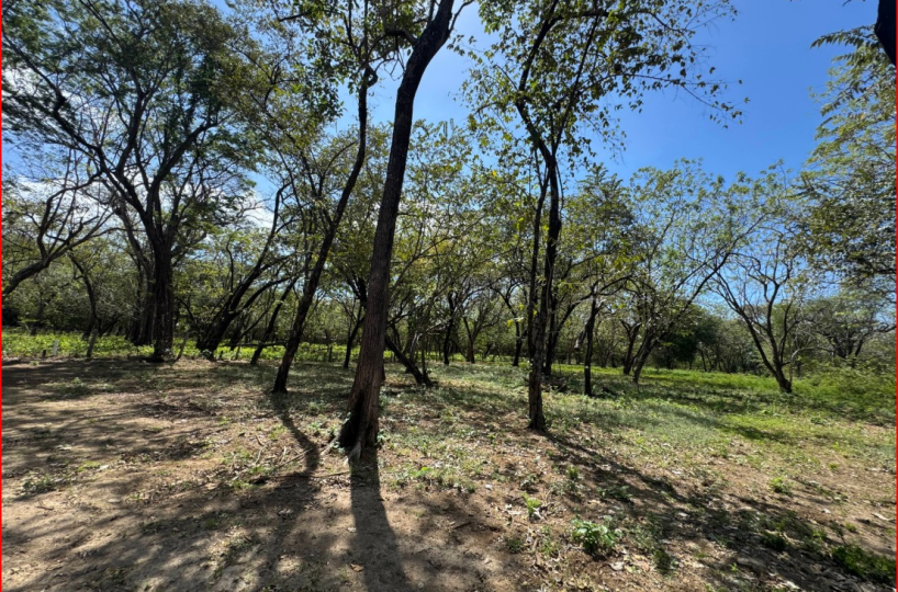 Building Lots for sale in Playa Grande Costa Rica