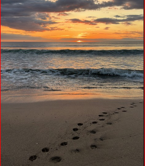 Building Lots for sale in Playa Grande Costa Rica