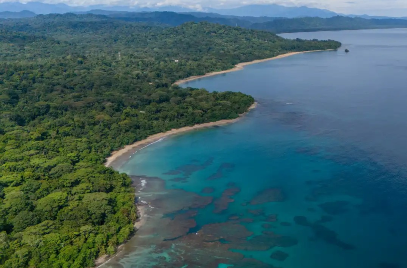 Homes for sale in Playa Chiquita Costa Rica