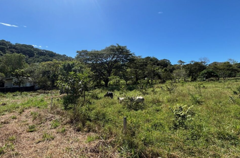 Building LotsDevelopment Land for sale in Atenas Costa Rica