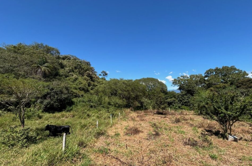 Building LotsDevelopment Land for sale in Atenas Costa Rica