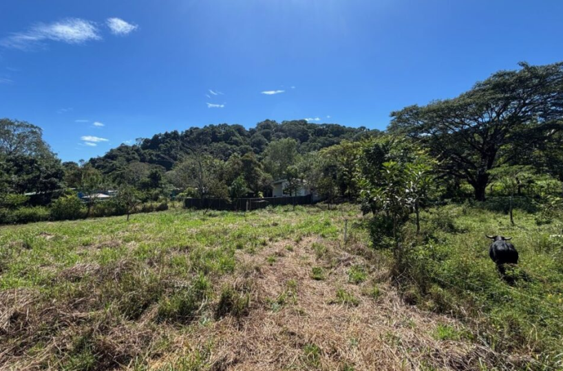 Building LotsDevelopment Land for sale in Atenas Costa Rica