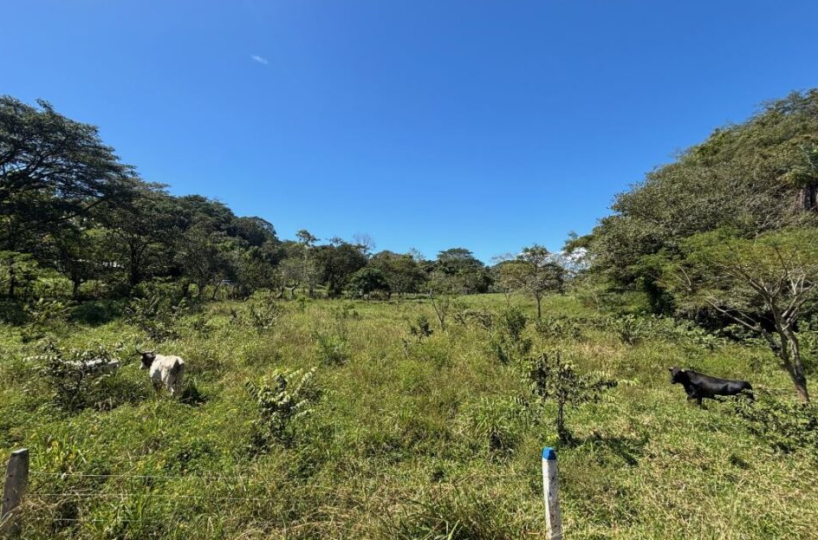 Building LotsDevelopment Land for sale in Atenas Costa Rica