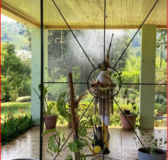 Homes for sale in Grecia Costa Rica