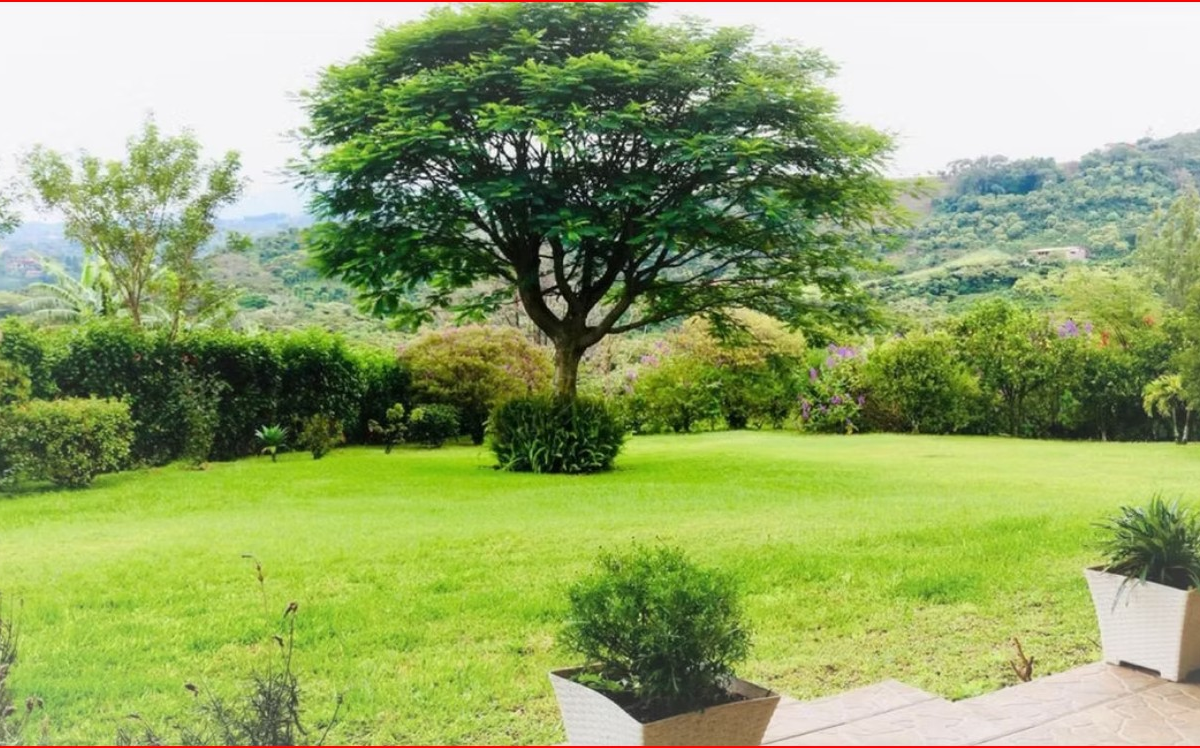Homes for sale in Grecia Costa Rica