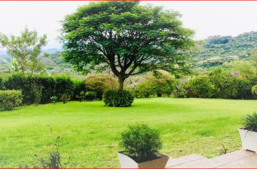Homes for sale in Grecia Costa Rica