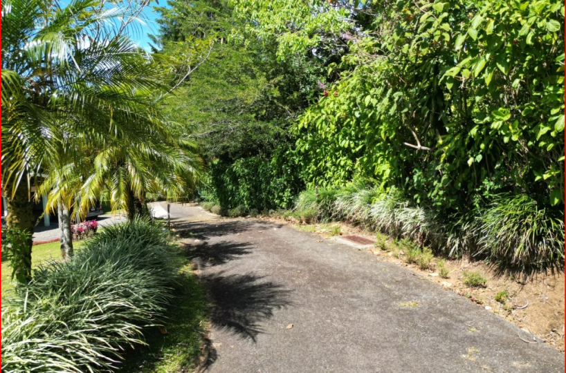 Homes for sale in Grecia Costa Rica