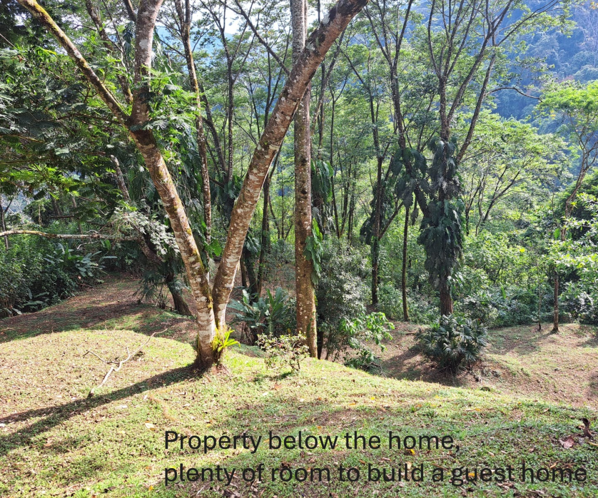 Homes for sale in Puriscal Costa Rica